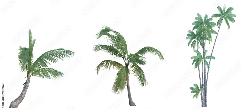 3d rendering tree isolated cut background 3d rendering tree isolated cut background