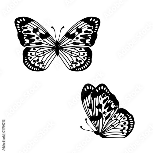 Monarch Butterfly Vector, Silhouette decorative outline Ornament Butterfly element Design isolated on white