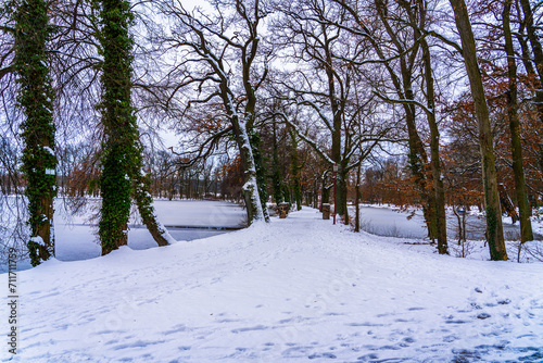 Winter landscape of frozen ponds and ivy-covered trees along a path in the park