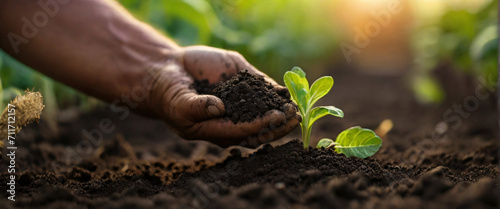 Expert hand of farmer checking soil health before growth a seed of vegetable or plant seedling, Business or ecology concept, analyze complex data sets in real-time, with a digital interface overlaid o