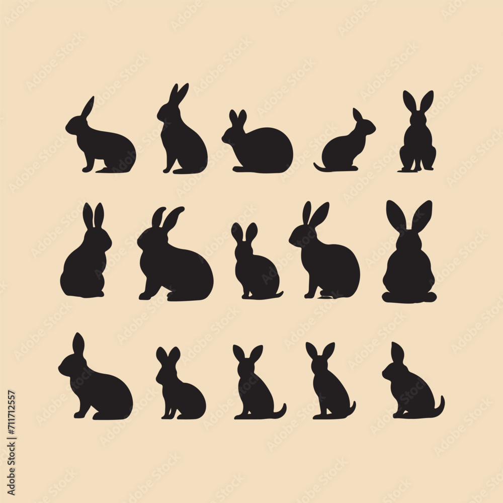 silhouette Bunny set Clipart on a hex color background
