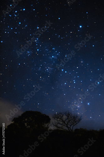 the milky way over a hill with two trees on it