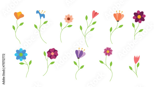 Flat Style Colorful Flowers Set. Nature plants and meadows concept vector