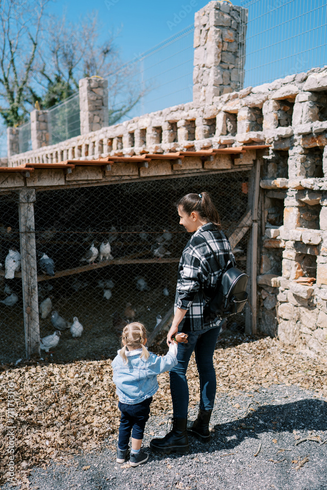 Mom and a little girl are standing near the fence of the barn with pigeons and looking at them, holding hands. Back view