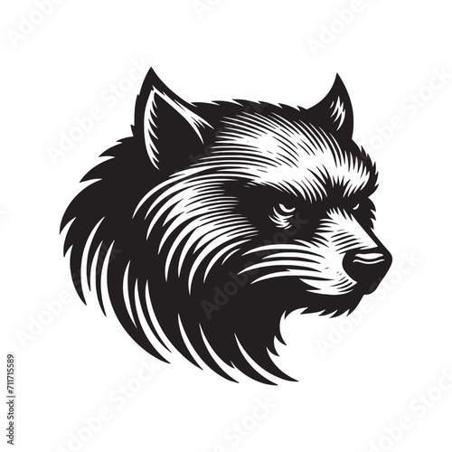 Wolverine angry head. Vintage retro engraving illustration. Black icon, logo, label. isolated element. png	 photo