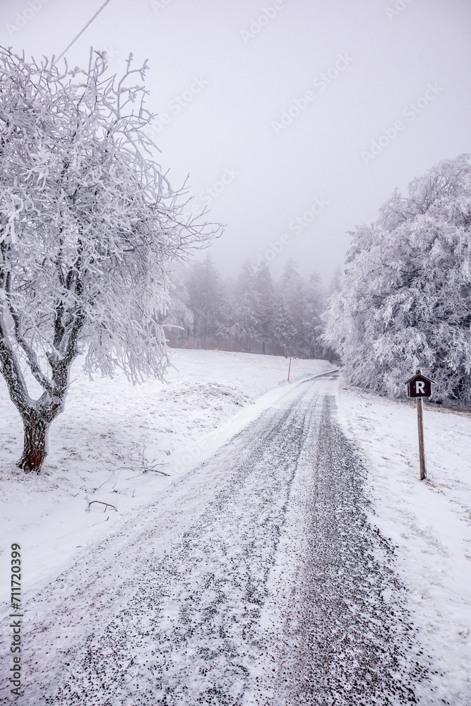 Fototapeta premium Kleine Winterwanderung im verschneiten Thüringer Wald bei Floh-Seligenthal - Thüringen - Deutschland