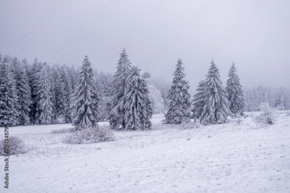 Kleine Winterwanderung im verschneiten Thüringer Wald bei Floh-Seligenthal - Thüringen - Deutschland