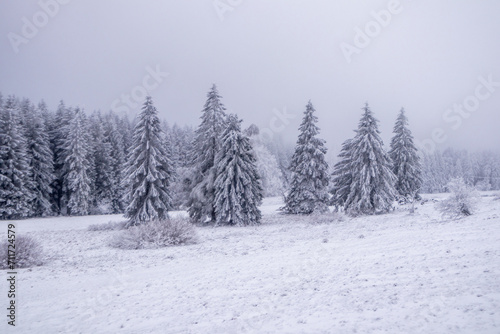 Kleine Winterwanderung im verschneiten Th  ringer Wald bei Floh-Seligenthal - Th  ringen - Deutschland