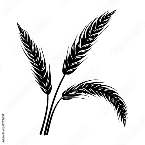 barley icon illustration, barley black silhouette logo svg vector