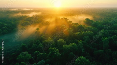 Beautiful green amazon forest landscape at sunset sunrise.