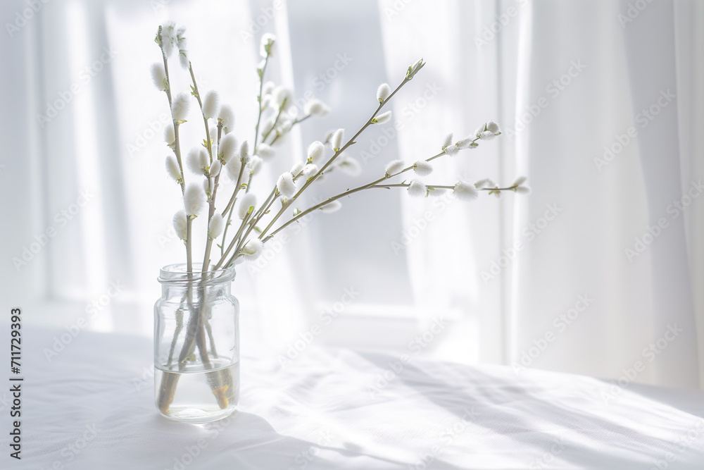 Pussy Willows in Clear Glass Vase on White Pussy Willows in Clear Glass Vase on White