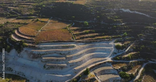 Wallpaper Mural Alpine Tapestry of Taste: A Bird's Eye Expedition Unraveling the Rich Fabric of Grape Farming Nestled Within the Grandeur of Mountainous Terrain. High quality 4k footage Torontodigital.ca