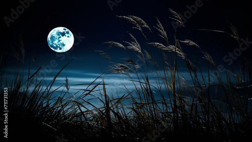 moon in the night sky, moonlight