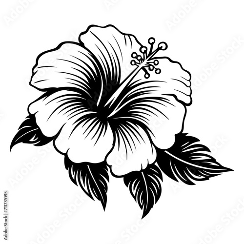 hibiscus icon illustration, hibiscus black silhouette logo svg vector