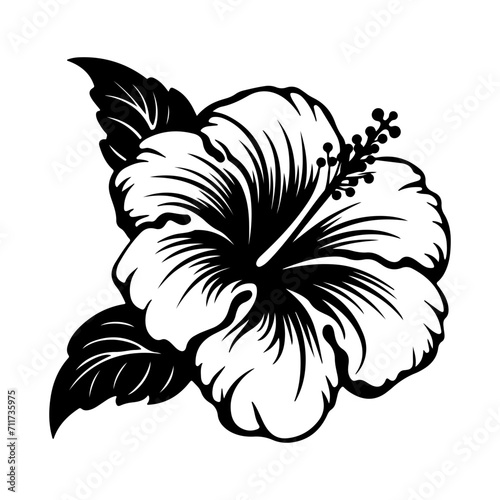 hibiscus icon illustration, hibiscus black silhouette logo svg vector
