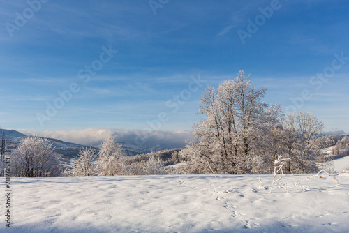 Fantastic winter landscape with wooden house in snowy mountains. Hight mountain peaks in foggy sunset sky. Christmas and winter vacations holiday concept © Roman's portfolio