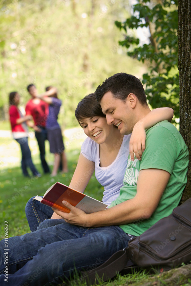 Group of young students learning together while in a park. Group of young students learning together while in a park.