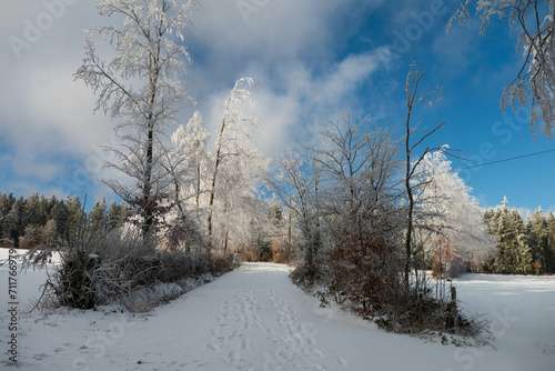 Winterlandschaft mit Bäumen wie aus Kristall © Gaby Recker