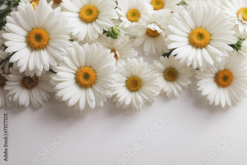 daisies on white