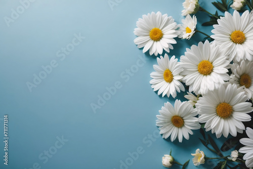 white daisies