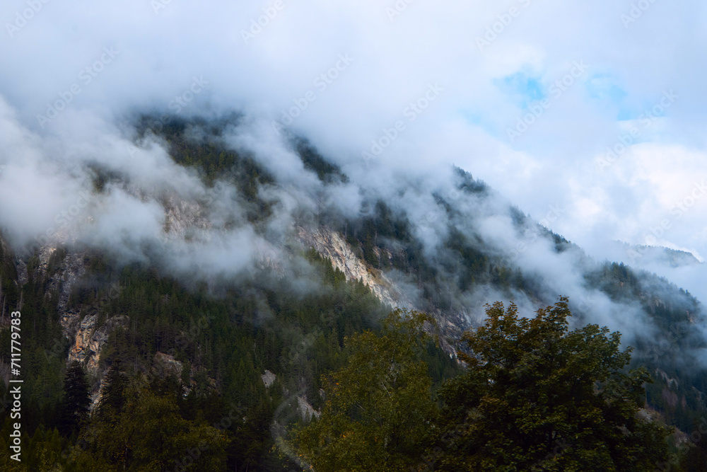 Mystic Mountains: Veiled in Fog, the Forested Peaks Evoke a Sense of Wonder Mystic Mountains: Veiled in Fog, the Forested Peaks Evoke a Sense of Wonder