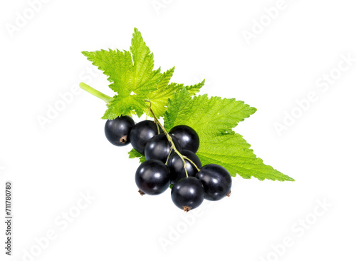 Black currant clusters