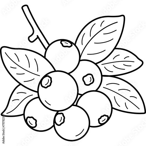 Blueberries with leaves. Vector outline icon.