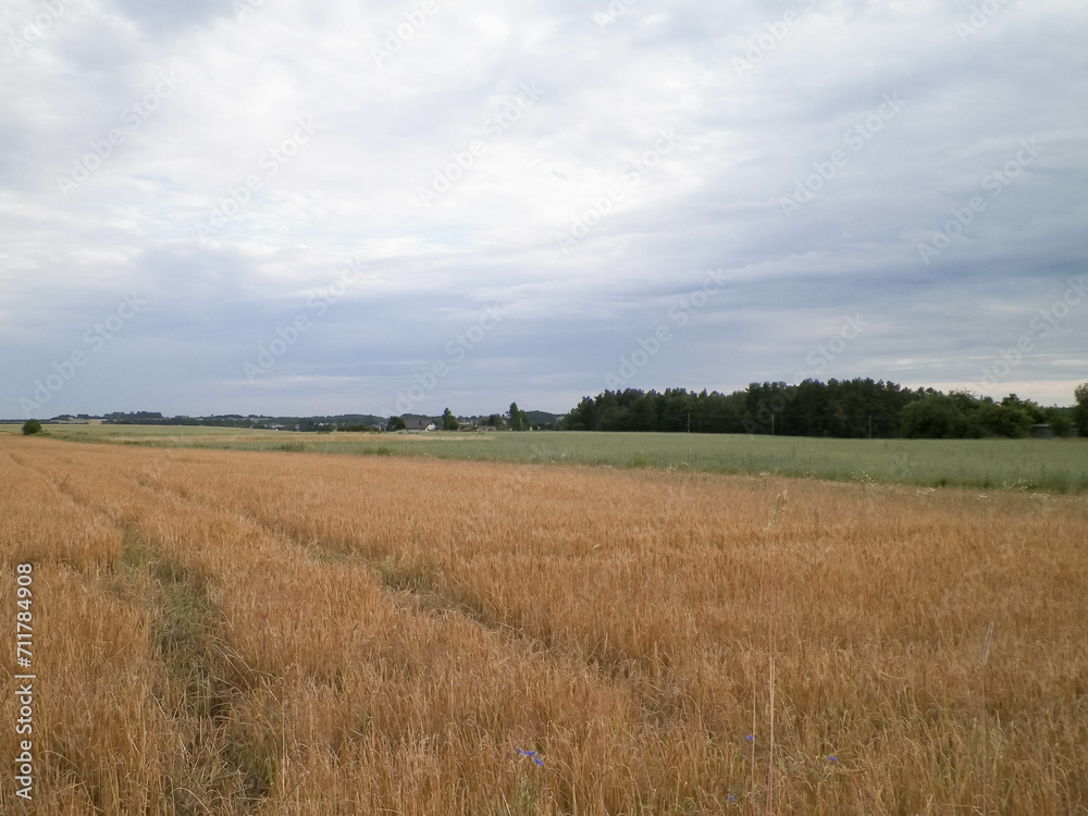 Countryside in northern Poland Kashubia.