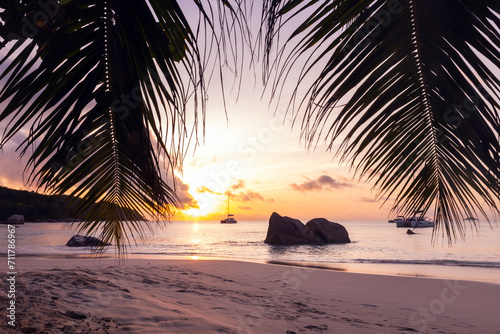 Coastal landscape of Anse Lazio beach with silhouettes of palm tree branches on a sunset photo