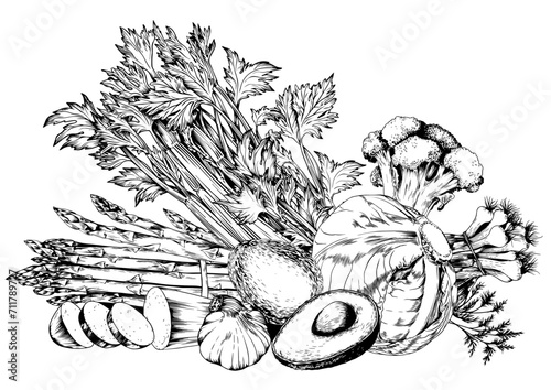 Asparagus, celery, avocado and green vegetables. Black and white hand drawn vector illustration.