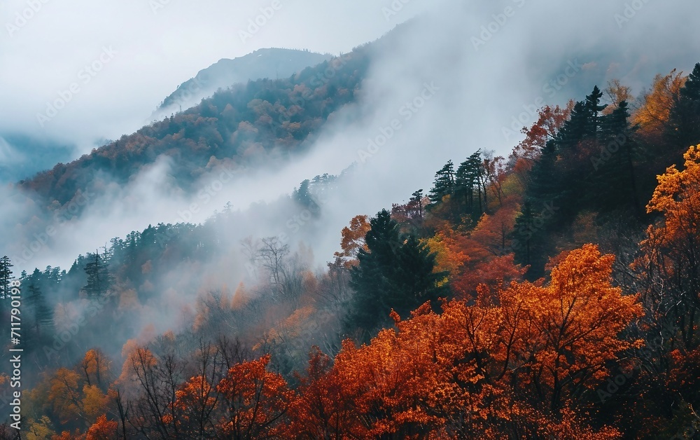 Autumn Aesthetic Foggy Weather in Mountains