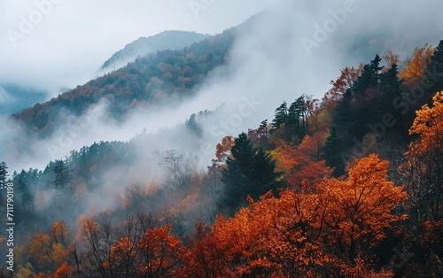 Autumn Aesthetic Foggy Weather in Mountains