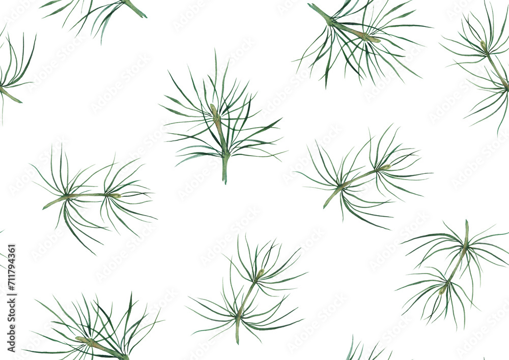 Watercolor natural forest pattern with spruce branches.