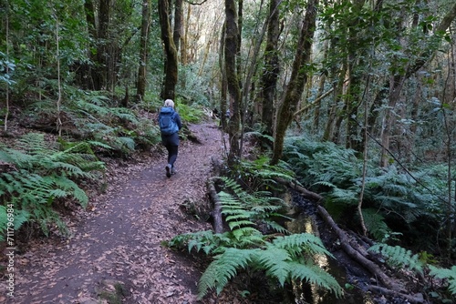 Garajonay National Park with with the world's largest, ancient laurel forest, on UNESCO list in La Gomera, Canary Islands, Spain. Silhouettes of hiking people on trail.