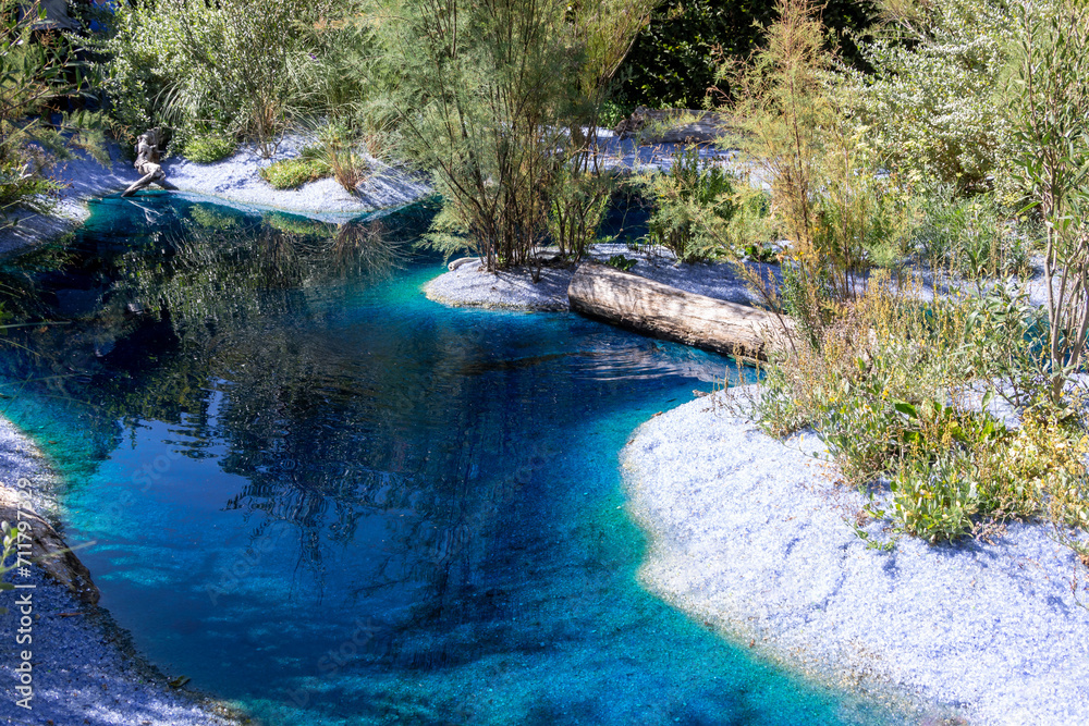 Obraz premium Zone humide - Mare aux eaux turquoise entourée de gravier blanc et de plantes et troncs d'arbre