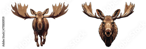 Set of moose with beautiful and long horns, front view, animal, vector illustration isolated on white background