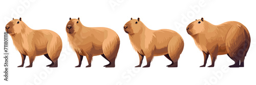 Capybara Quartet: Four adorable capybaras stand in a row, their fluffy brown fur and gentle eyes inviting a sense of tranquility and warmth against a clean white background