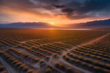 Stunning sunset over wide field plantations, with majestic mountains in the distance