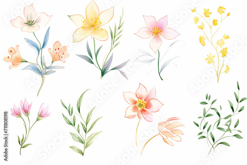 Flower, botanical illustration , cartoon drawing, water color style, AI Generated