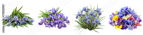 German Iris Flower Pile Of Heap Of Piled Up Together Hyperrealistic Highly Detailed Isolated On Transparent Background Png File