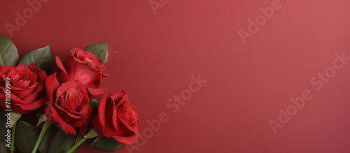 Red rose flower background. Floral wallpaper, banner. February 14, valentine's day, love, 8 march women's day theme. 