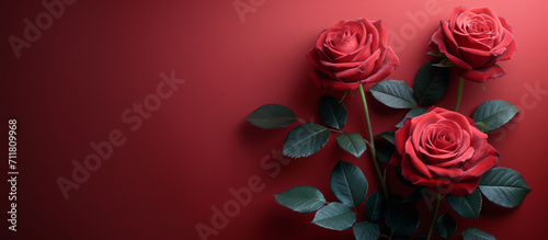 Red rose flower background. Floral wallpaper, banner. February 14, valentine's day, love, 8 march women's day theme. 