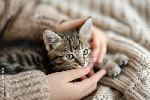 Cute little tabby kitten with child's hands.	