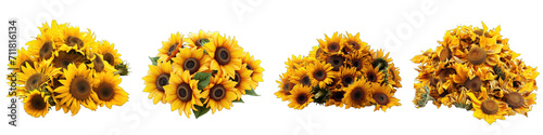 Helianthus Flower Pile Of Heap Of Piled Up Together Hyperrealistic Highly Detailed Isolated On Transparent Background Png File