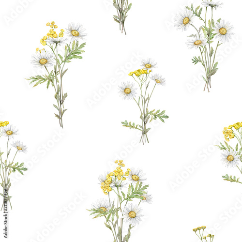 Seamless pattern Watercolor Daisy and tansy. Hand drawn illustration of Chamomile. bouquet of white blossom flowers on isolated background. Drawing botanical clipart invitation cards. Paint wildflower photo