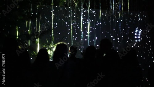 Silhouettes of people looking show in dark forest at summer night photo