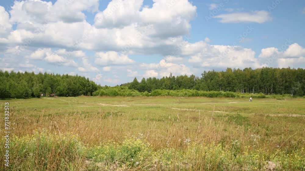 Beautiful meadow with dry grass and small going men at summer day Beautiful meadow with dry grass and small going men at summer day