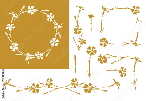 Clove Pink flowers and frames with cloves pink. Wildflower pattern
