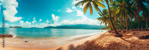 Panorama of tropical beach with coconut palm trees