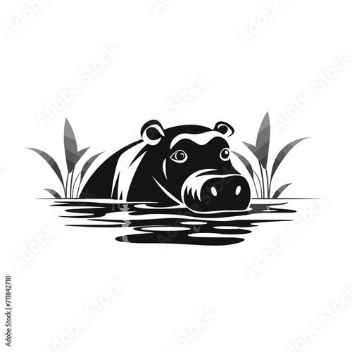 hippopotamus in water
